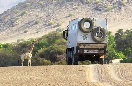 Close encounter with a giraffe