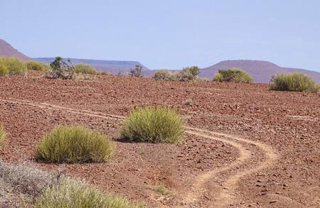  the 4x4 trails become narrower and narrower