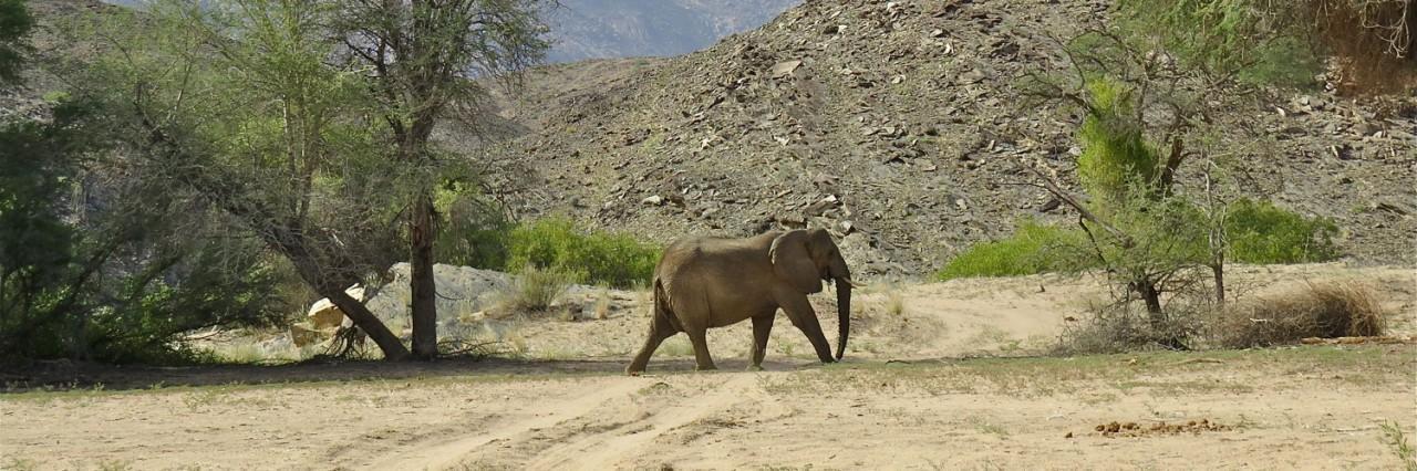 “JUMBO reunion” in the Ugab